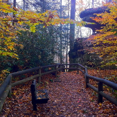 Natural Bridge State Park